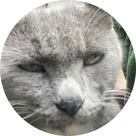 Screenjoe